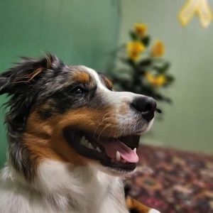 Meet your Posher, Paul